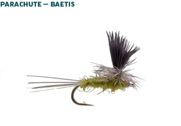 BWO Dry Fly Assortment